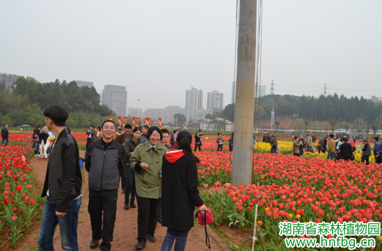 AG旗舰厅(中国游)官方网站