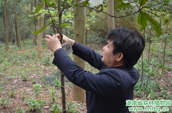 AG旗舰厅(中国游)官方网站