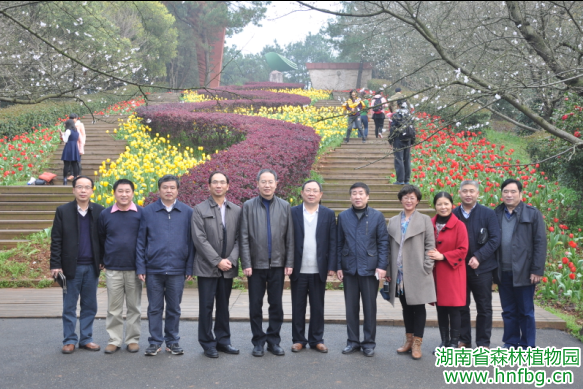 AG旗舰厅(中国游)官方网站