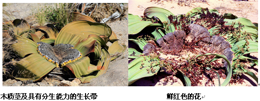 AG旗舰厅(中国游)官方网站