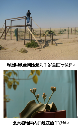 AG旗舰厅(中国游)官方网站