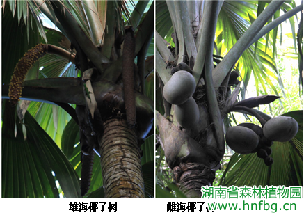 AG旗舰厅(中国游)官方网站
