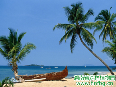 AG旗舰厅(中国游)官方网站
