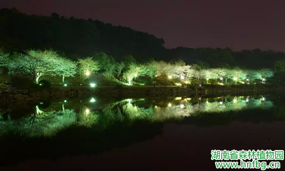 AG旗舰厅(中国游)官方网站