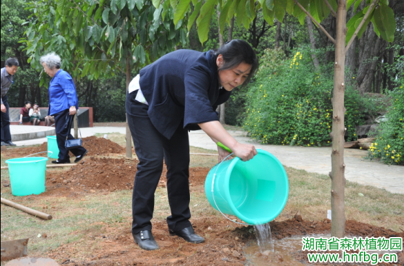AG旗舰厅(中国游)官方网站