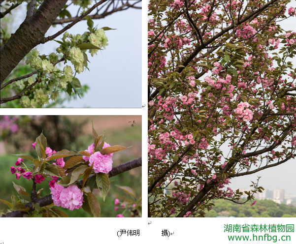 AG旗舰厅(中国游)官方网站