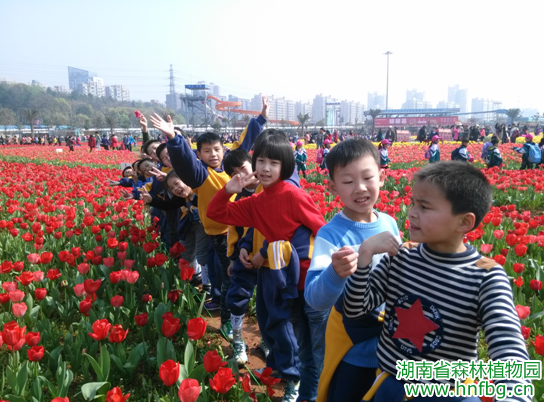 AG旗舰厅(中国游)官方网站