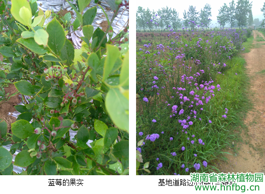 AG旗舰厅(中国游)官方网站
