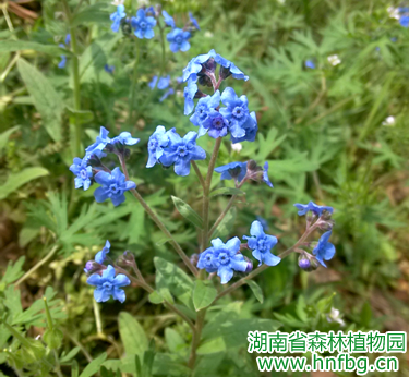 AG旗舰厅(中国游)官方网站