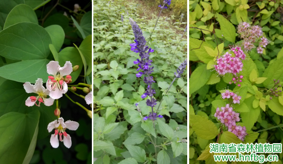 AG旗舰厅(中国游)官方网站