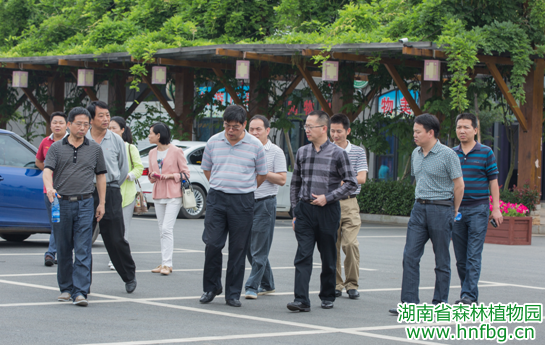 AG旗舰厅(中国游)官方网站