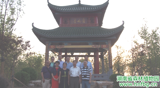 AG旗舰厅(中国游)官方网站