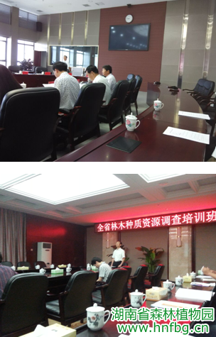 AG旗舰厅(中国游)官方网站