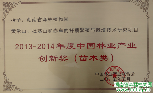 AG旗舰厅(中国游)官方网站