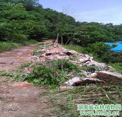 AG旗舰厅(中国游)官方网站