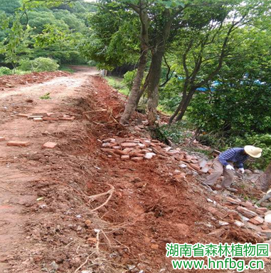 AG旗舰厅(中国游)官方网站