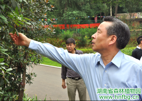 AG旗舰厅(中国游)官方网站