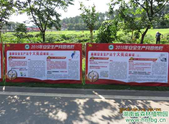 AG旗舰厅(中国游)官方网站