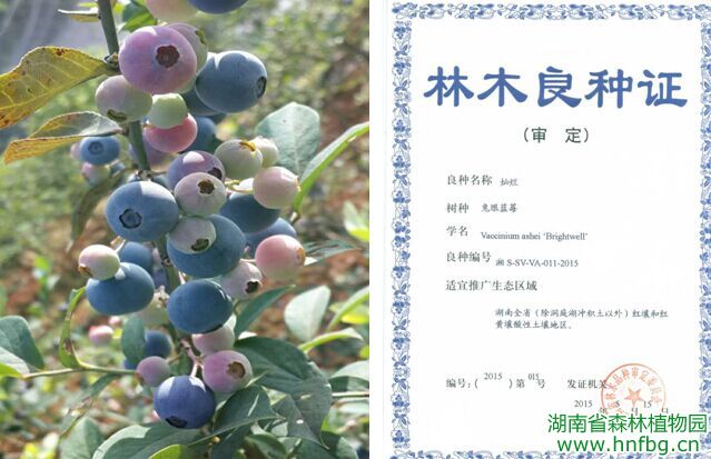 AG旗舰厅(中国游)官方网站