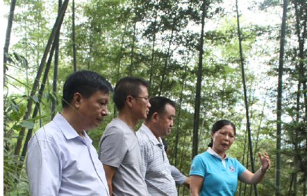 AG旗舰厅(中国游)官方网站
