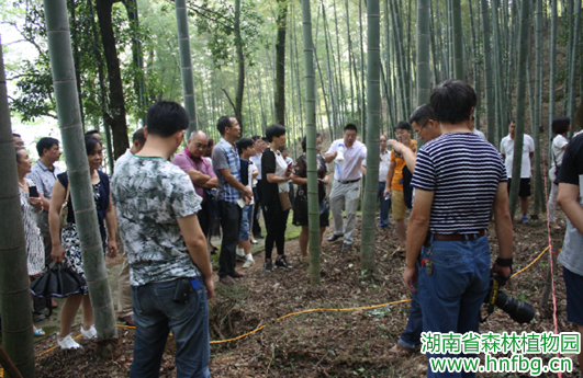 AG旗舰厅(中国游)官方网站