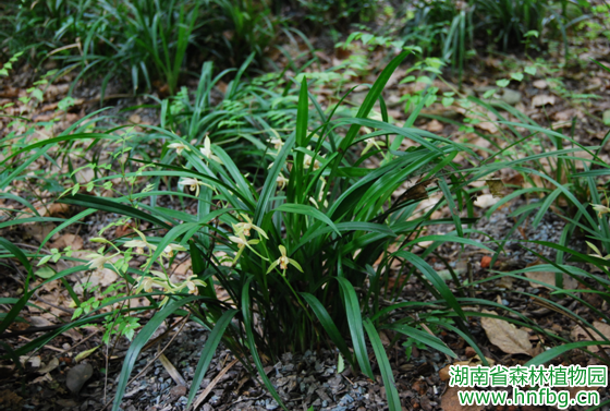 AG旗舰厅(中国游)官方网站