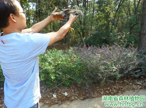 AG旗舰厅(中国游)官方网站