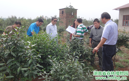 AG旗舰厅(中国游)官方网站