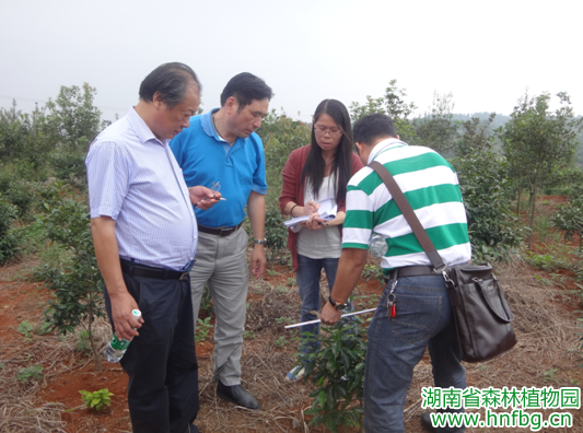 AG旗舰厅(中国游)官方网站
