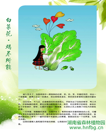AG旗舰厅(中国游)官方网站