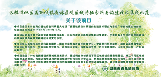 AG旗舰厅(中国游)官方网站