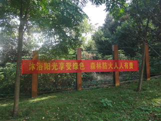 AG旗舰厅(中国游)官方网站