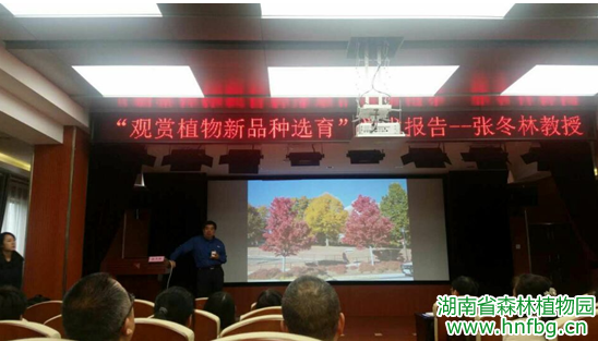 AG旗舰厅(中国游)官方网站