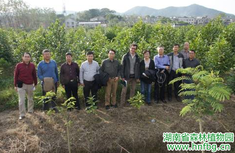 AG旗舰厅(中国游)官方网站