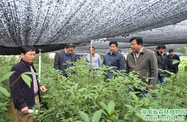 AG旗舰厅(中国游)官方网站
