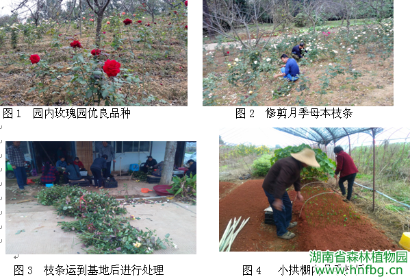 AG旗舰厅(中国游)官方网站