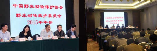 AG旗舰厅(中国游)官方网站