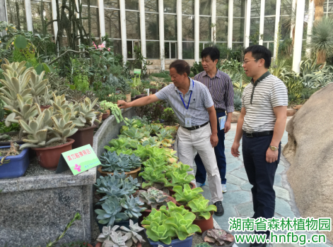 AG旗舰厅(中国游)官方网站