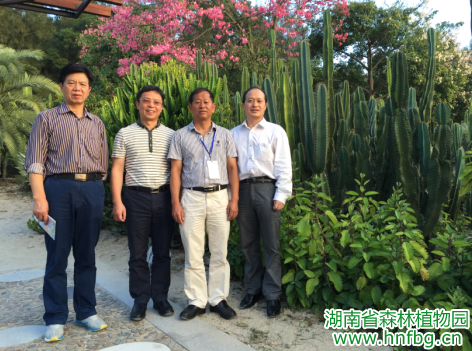 AG旗舰厅(中国游)官方网站