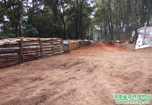 AG旗舰厅(中国游)官方网站
