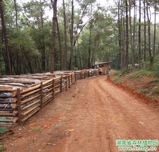 AG旗舰厅(中国游)官方网站