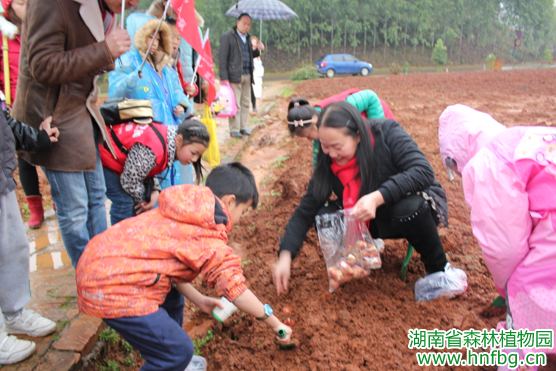 AG旗舰厅(中国游)官方网站