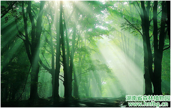 AG旗舰厅(中国游)官方网站