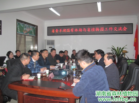 AG旗舰厅(中国游)官方网站