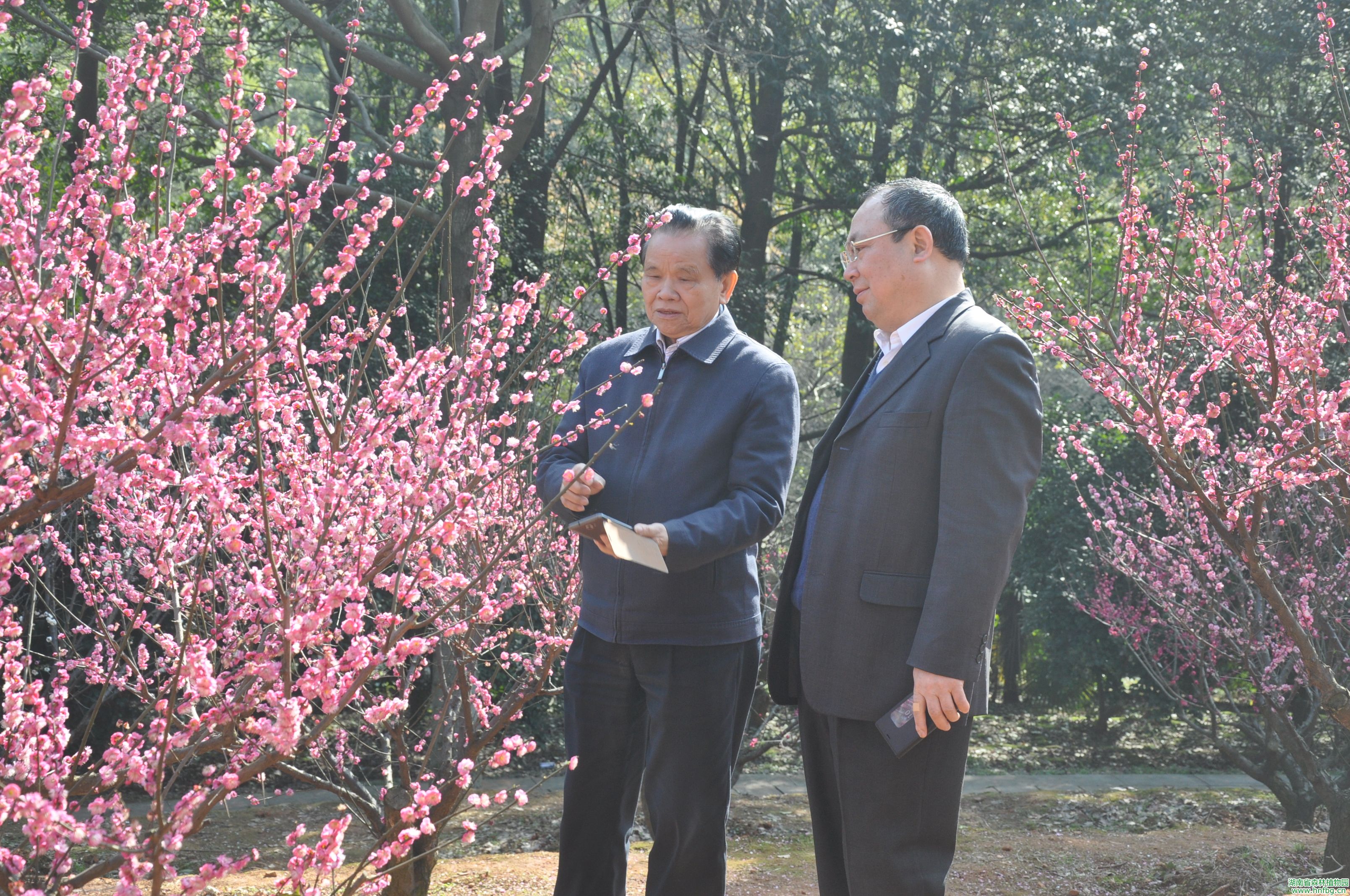 AG旗舰厅(中国游)官方网站