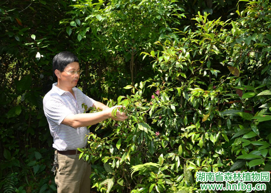 AG旗舰厅(中国游)官方网站