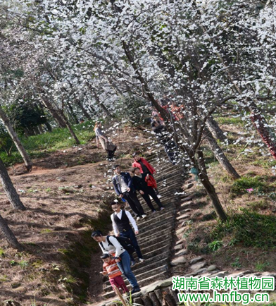 AG旗舰厅(中国游)官方网站