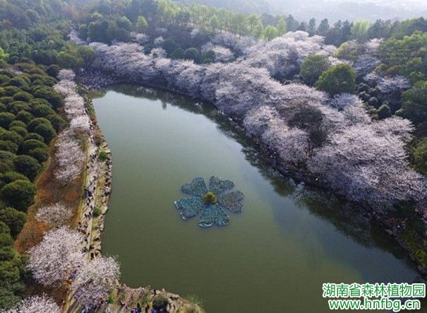 AG旗舰厅(中国游)官方网站