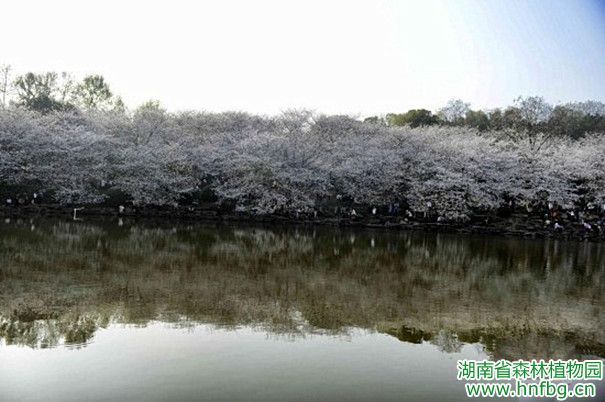 AG旗舰厅(中国游)官方网站