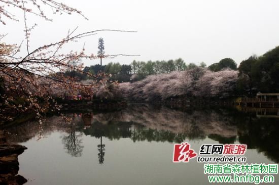 AG旗舰厅(中国游)官方网站